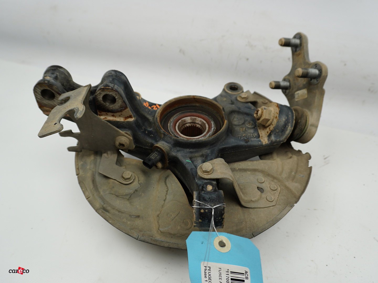 Photo 5