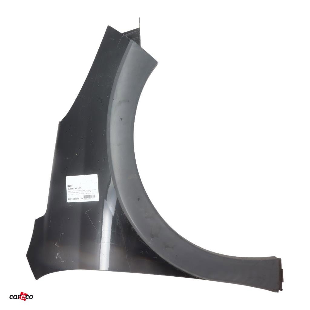 Aile avant droite Peugeot 207 SW (WK_) 1.6 hdi (2007-2012) 5 portes occasion